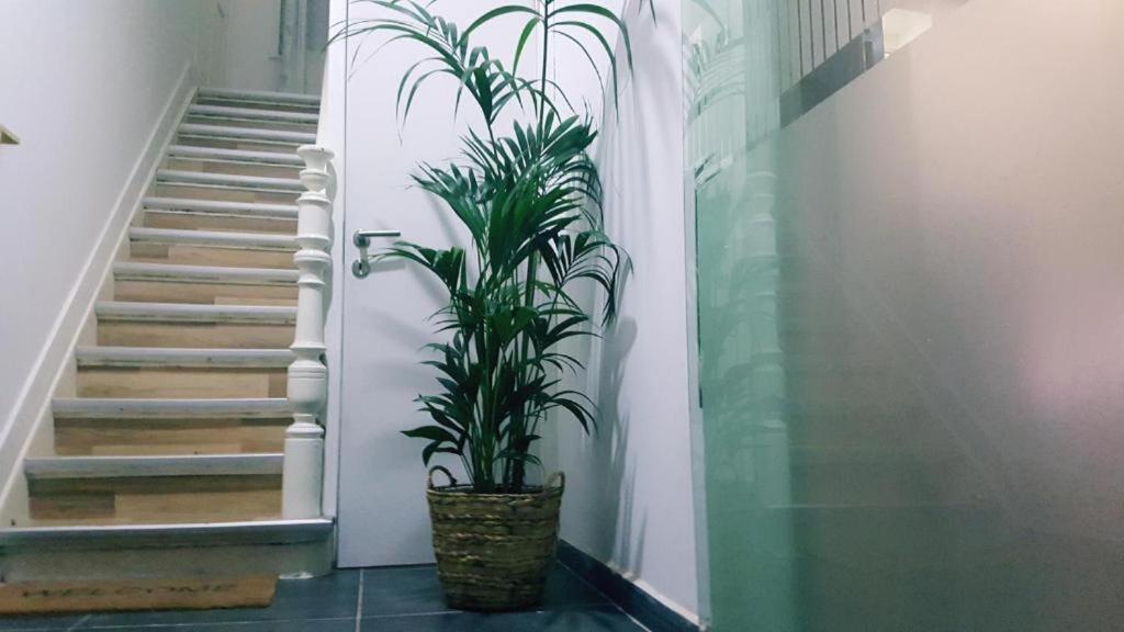 Cozy Rooms With Share The Bathroom And Kitchen Bruxelas Exterior foto